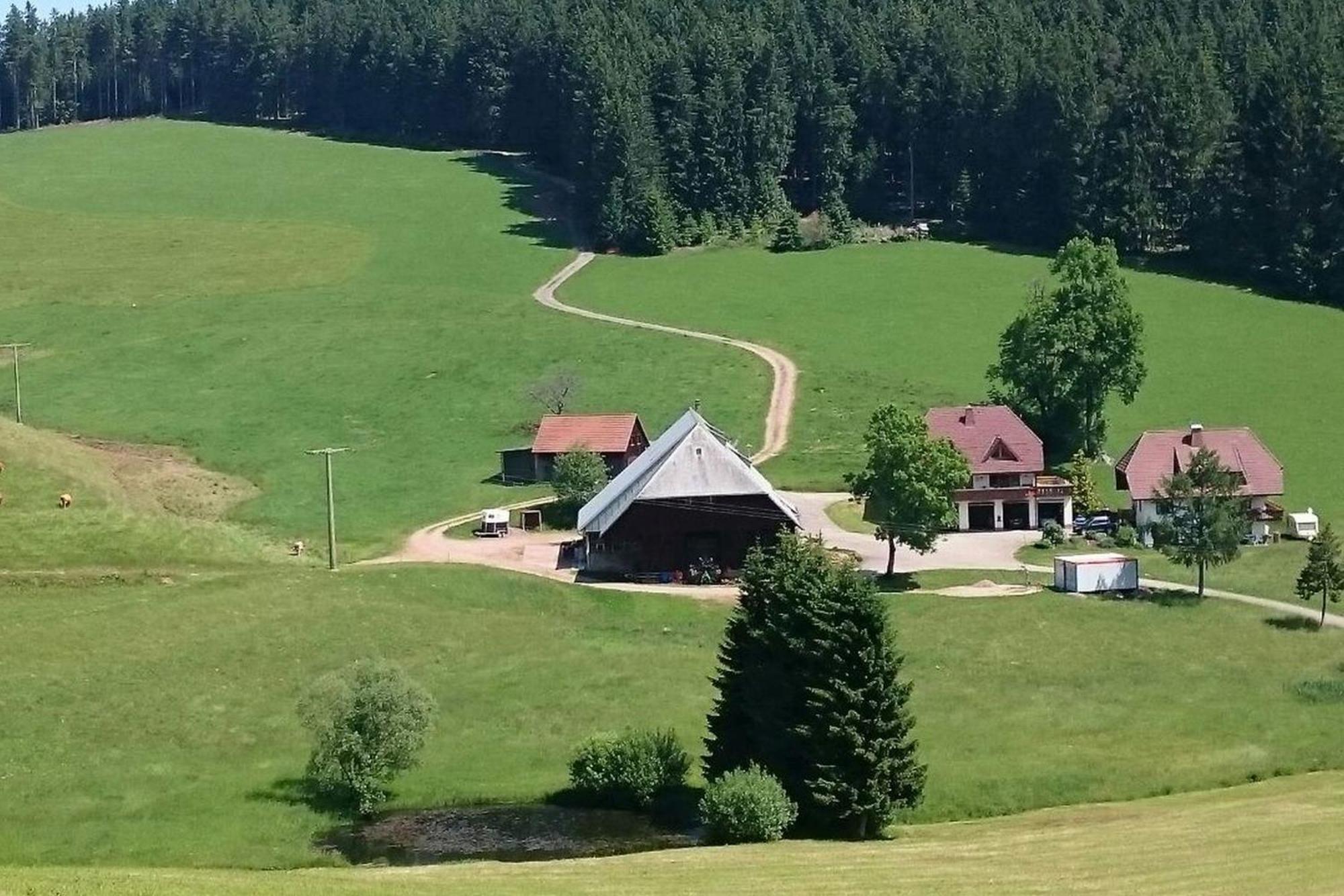 아이젠바흐 Oberengenbachhof 아파트 외부 사진